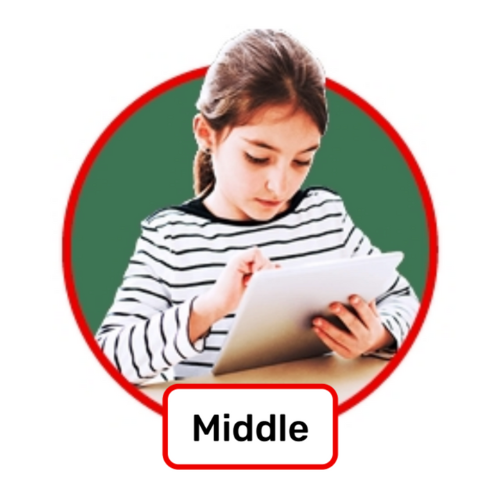 Middle Level Badge